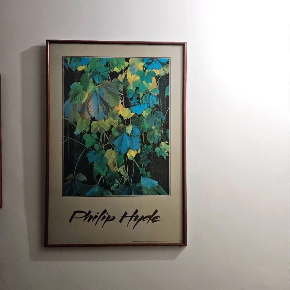 2x3' Vineyard Grape Leaves Photo Interior Decor Poster Print Vintage Wood Frame